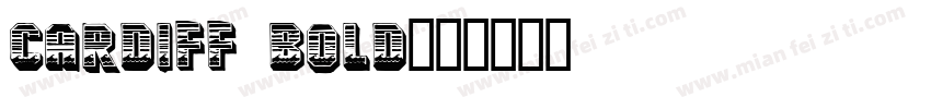 Cardiff Bold字体转换